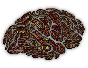 Inside the mind image when searching for "psychometric testing"